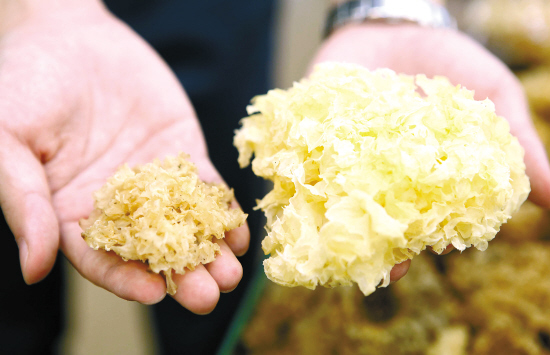 食品中的二氧化硫危害和好色TV在线观看